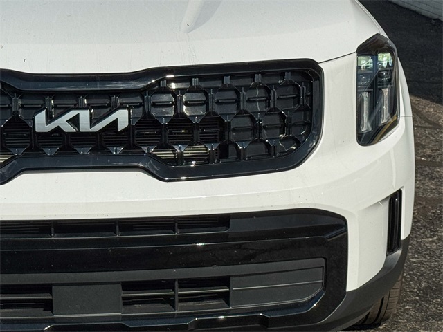 2024 Kia Telluride EX X-Line photo 10