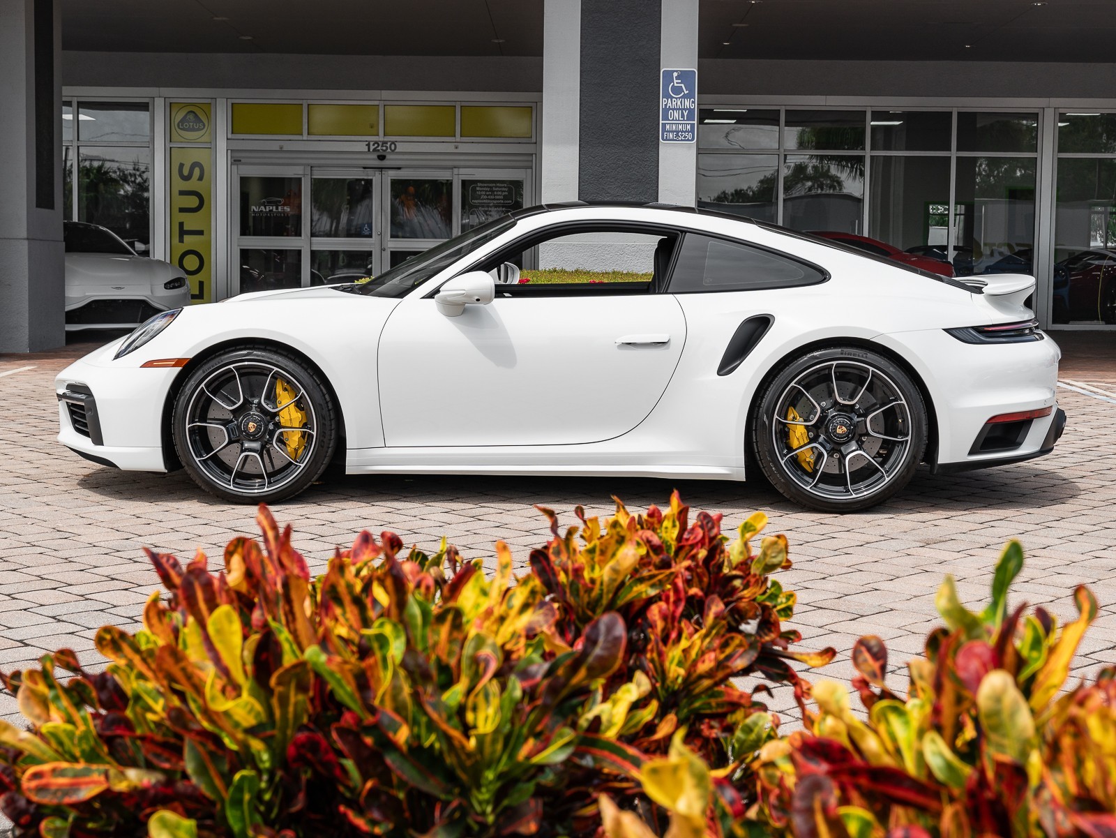2023 Porsche 911 Turbo S photo 7