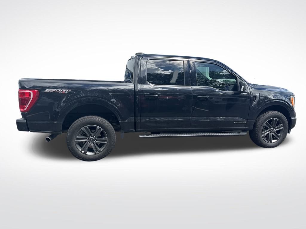 2023 Ford F-150 XLT photo 4