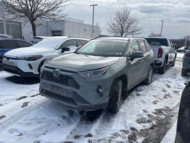 2019 Toyota RAV4 XLE's photo