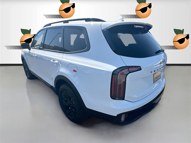 2025 Kia Telluride SX X-Line photo 5