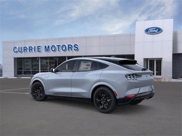 2025 Ford Mustang Mach-E GT photo 3