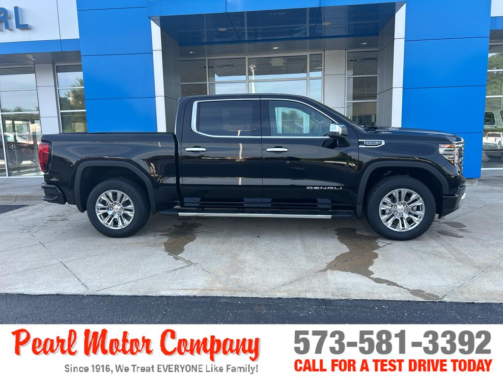 2025 Gmc Sierra 1500 Denali photo 3