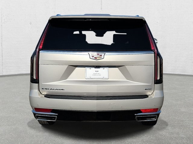 2021 Cadillac Escalade Premium Luxury photo 3