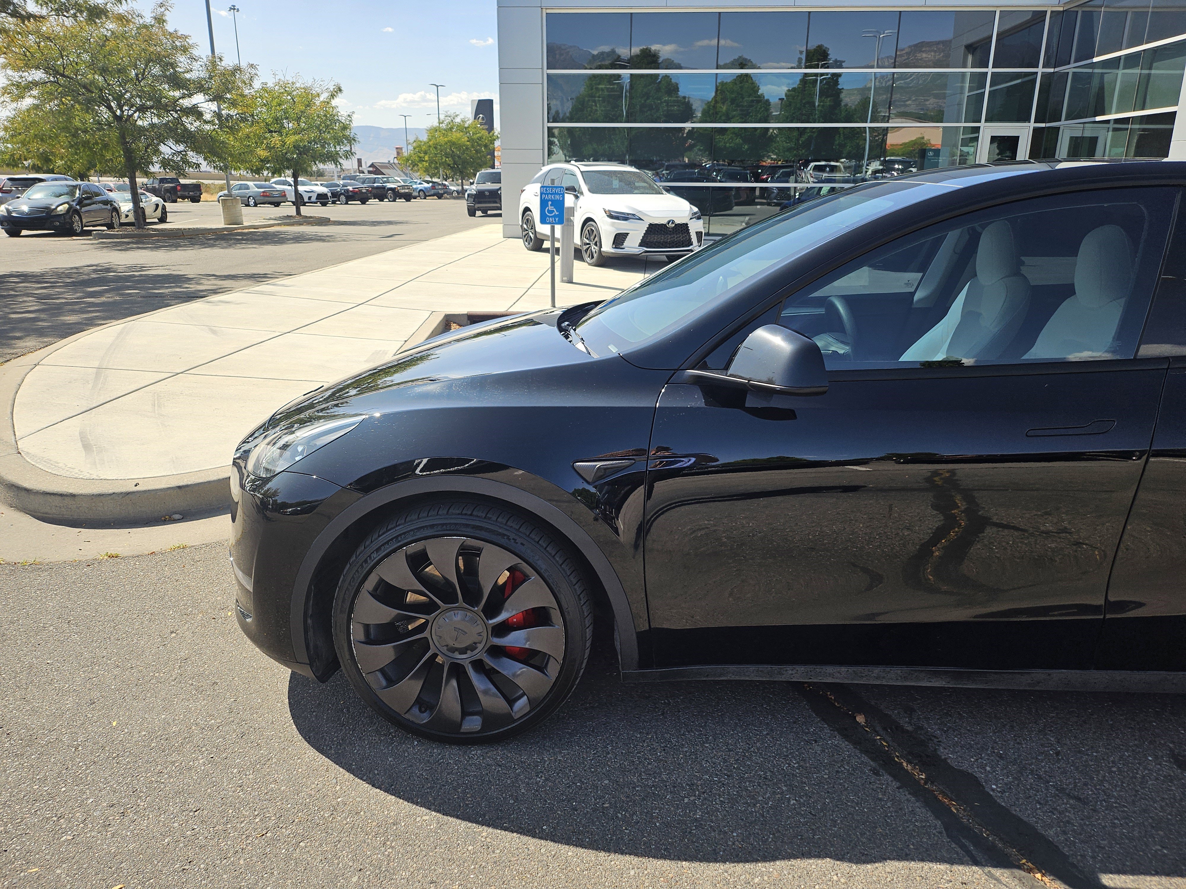 Used 2023 Tesla Model Y Performance with VIN 7SAYGDEF0PF586569 for sale in Lindon, UT