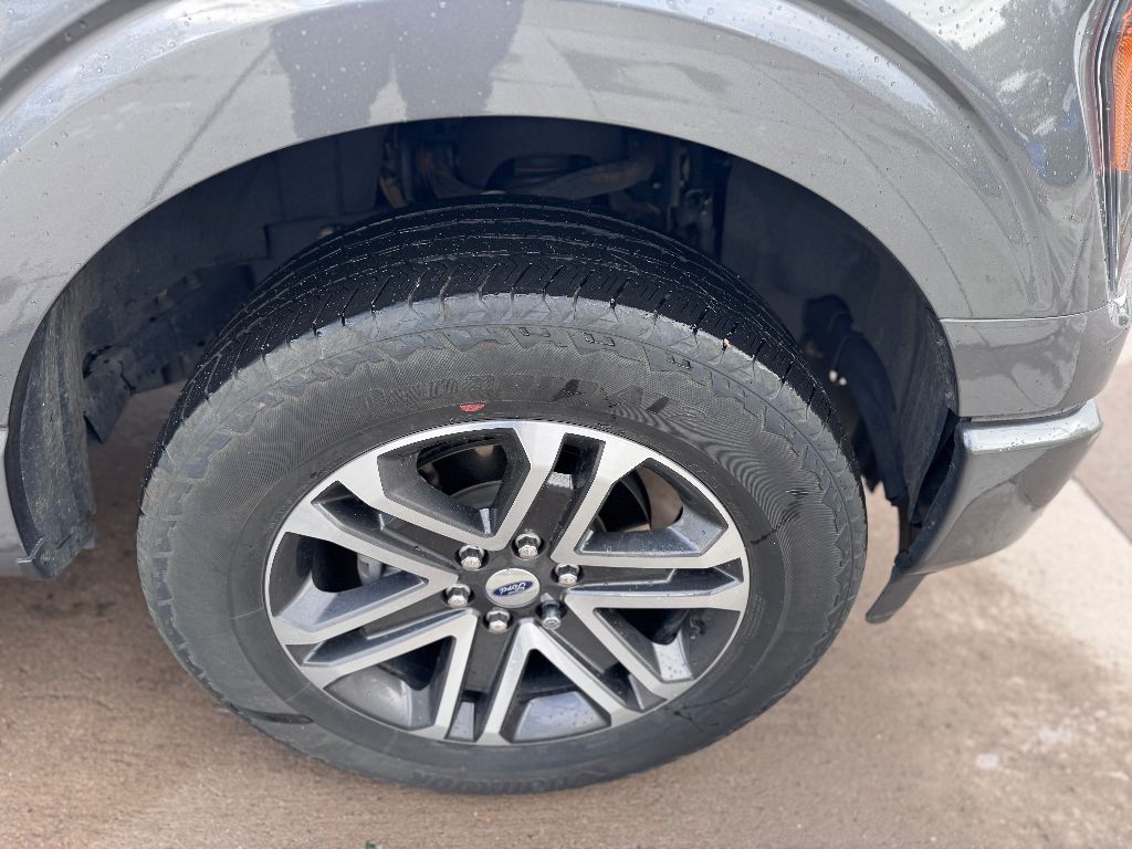 2023 Ford F-150 XL photo 3