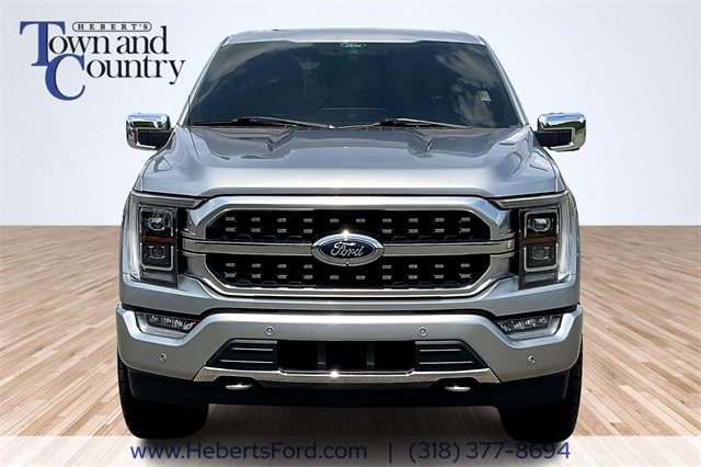 2021 Ford F-150 Platinum photo 3