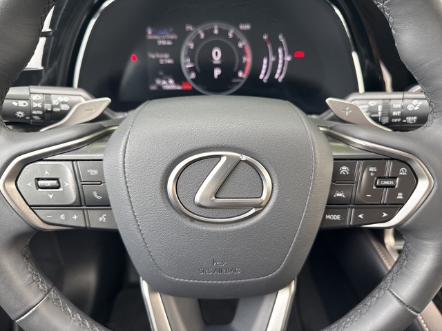 2024 Lexus RX 350 photo 27