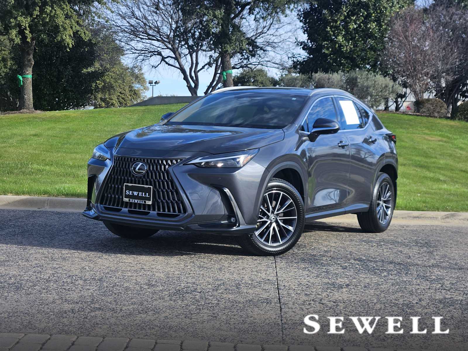 2024 Lexus NX 350's photo