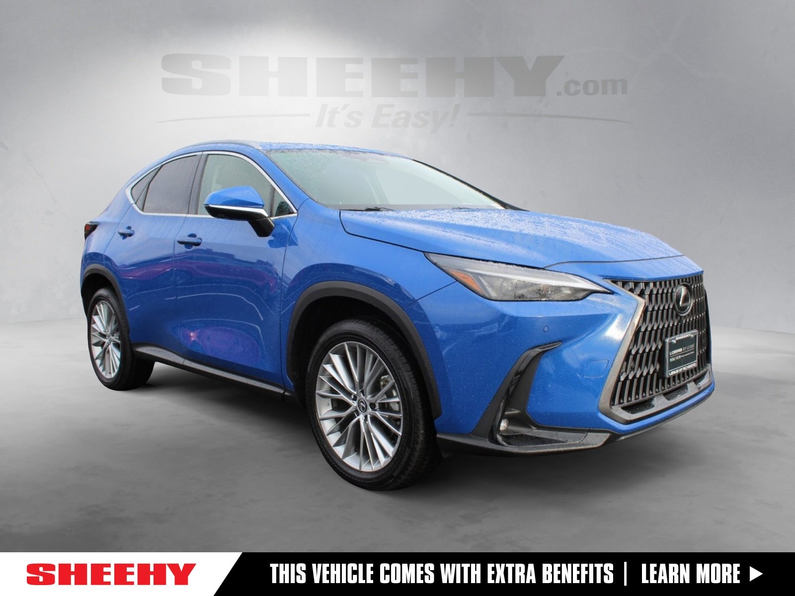 2025 Lexus NX 350's photo