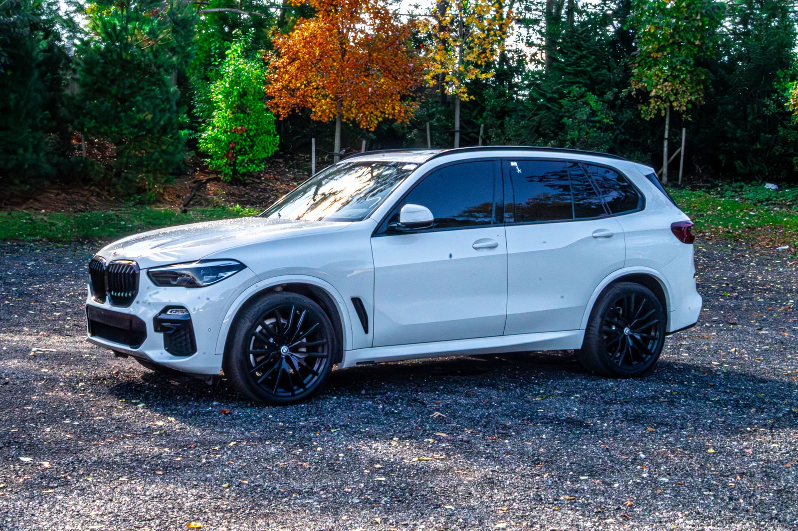 2021 Bmw X5 sDrive40i photo 3