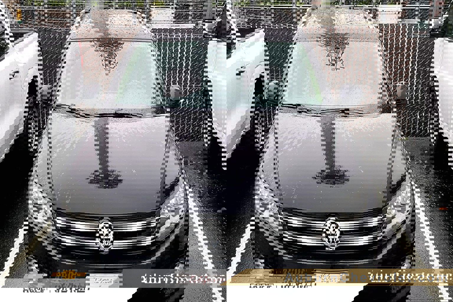 2015 Volkswagen Tiguan SEL's photo