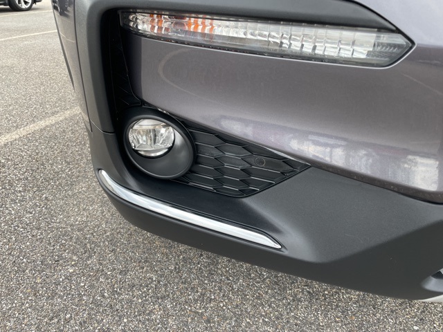 2019 Honda Pilot Elite photo 10