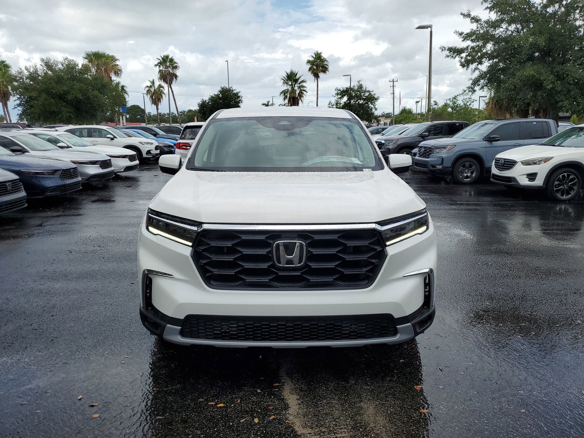 2025 Honda Pilot EX-L photo 3