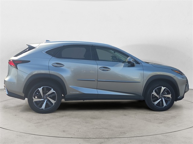 2019 Lexus NX 300h Luxury photo 6