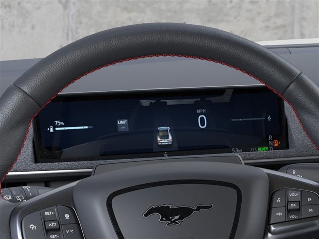 2025 Ford Mustang Mach-E Premium photo 12