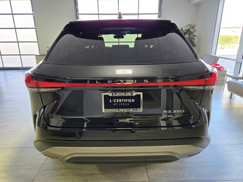 2025 Lexus RX 350 photo 4