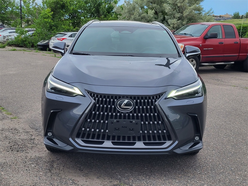 2024 Lexus NX 350h Luxury photo 9