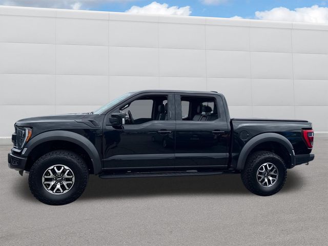 2023 Ford F-150 Raptor photo 2