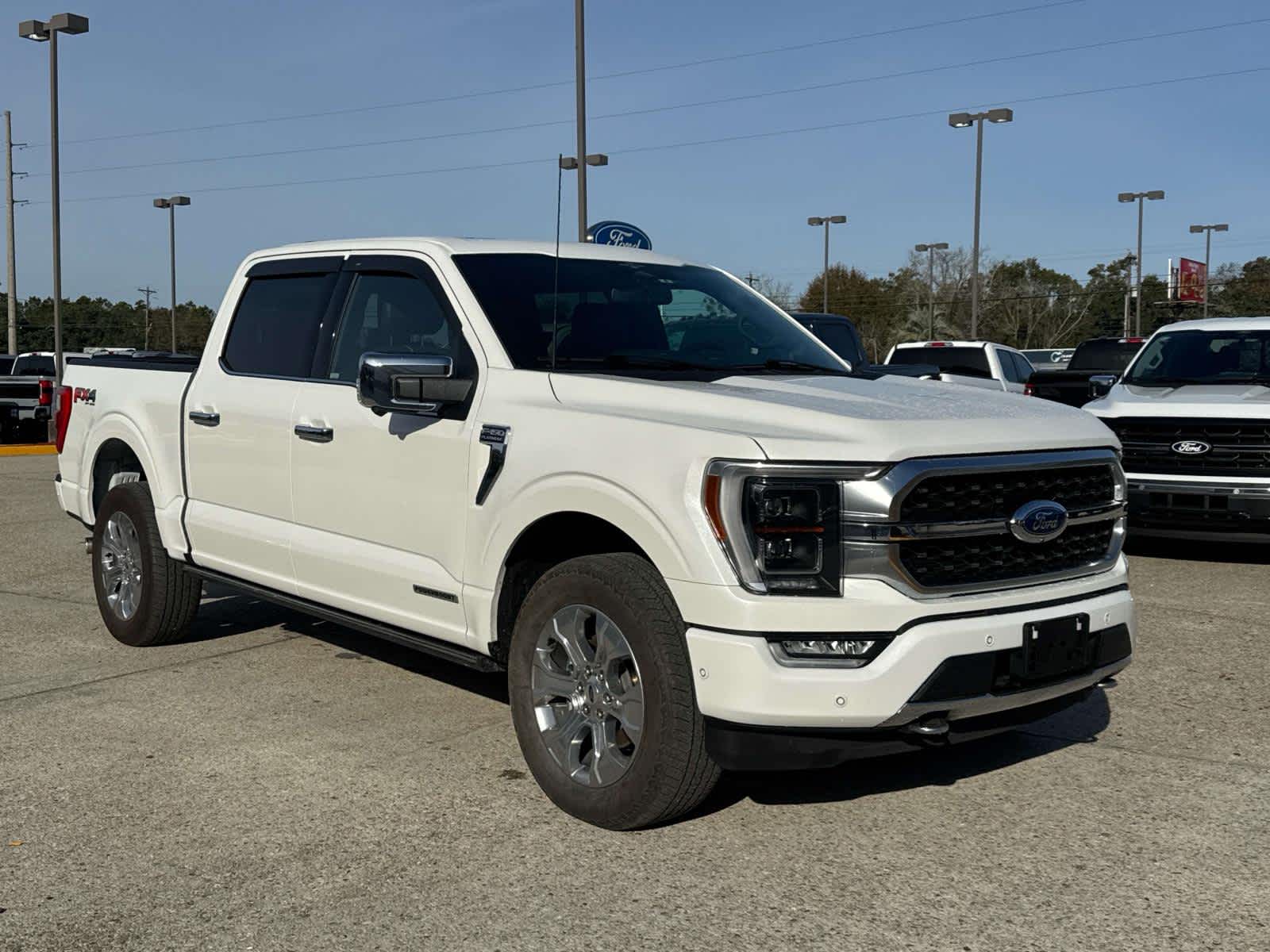 2023 Ford F-150 Platinum's photo
