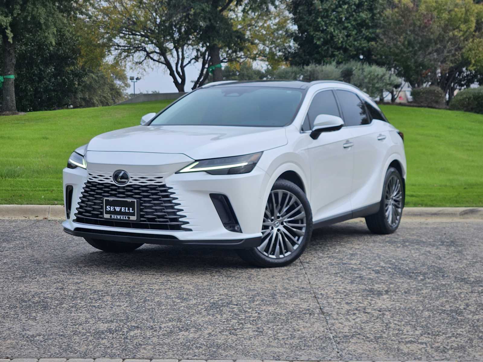 2023 Lexus RX 350's photo