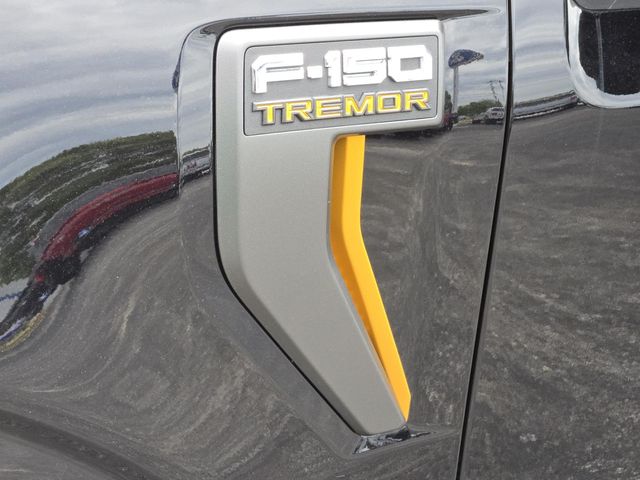 2025 Ford F-150 Tremor photo 6