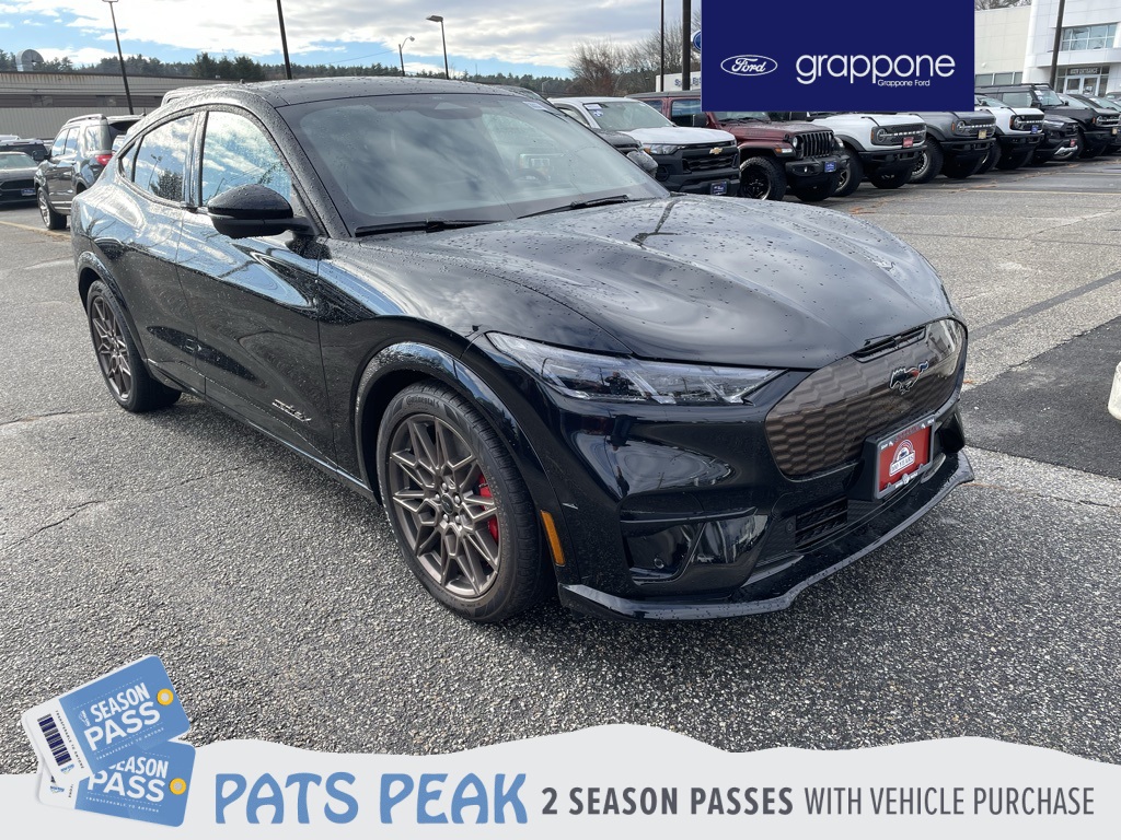 2025 Ford Mustang Mach-E GT AWD's photo