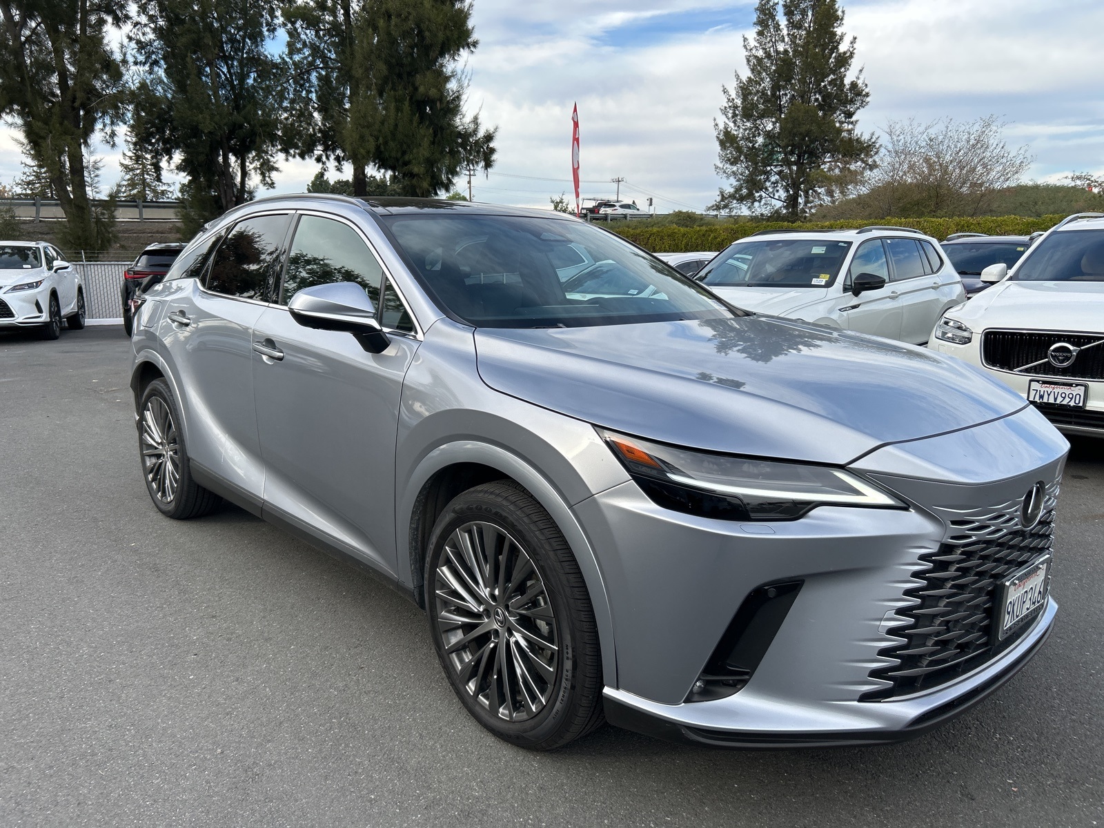 2024 Lexus RX 450h Luxury photo 2