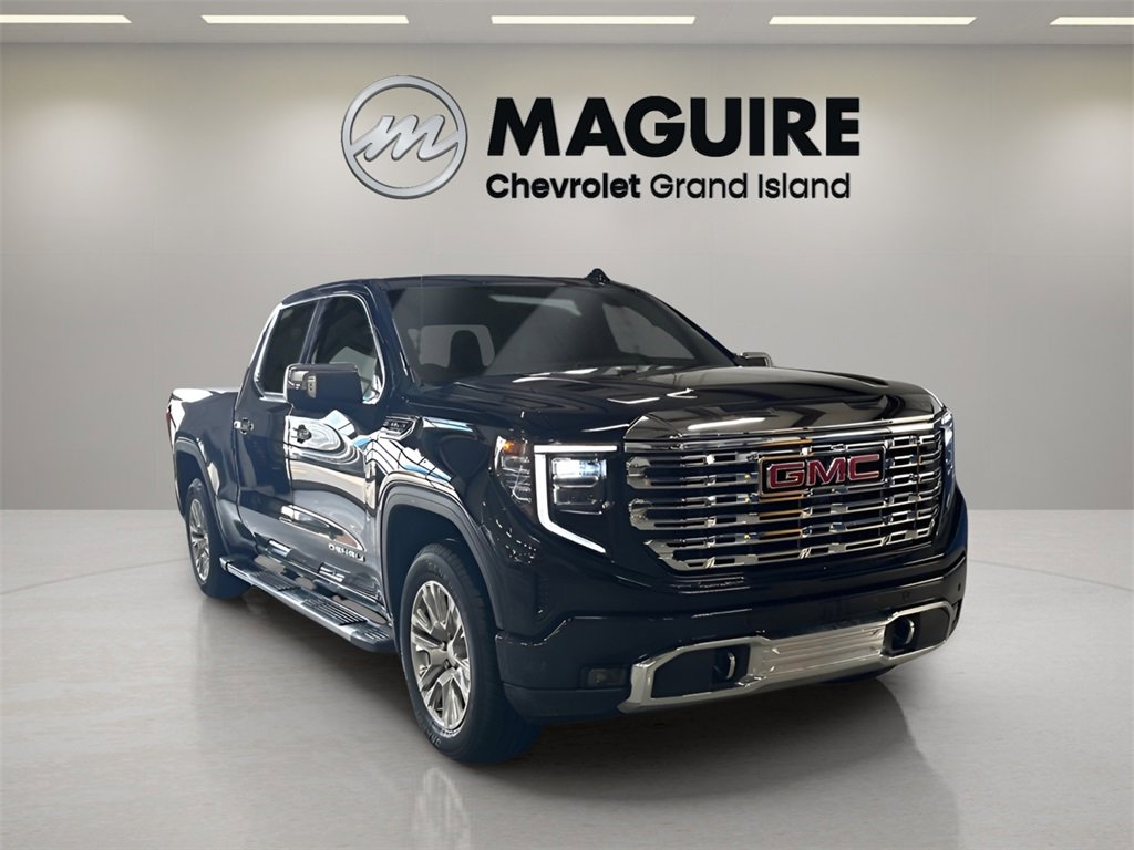 2024 Gmc Sierra 1500 Denali photo 6