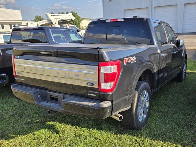 2023 Ford F-150 Platinum photo 6