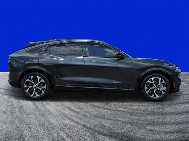 Certified 2022 Ford Mustang Mach-E Premium AWD with VIN 3FMTK3SU3NMA56216 for sale in Palm Bay, FL