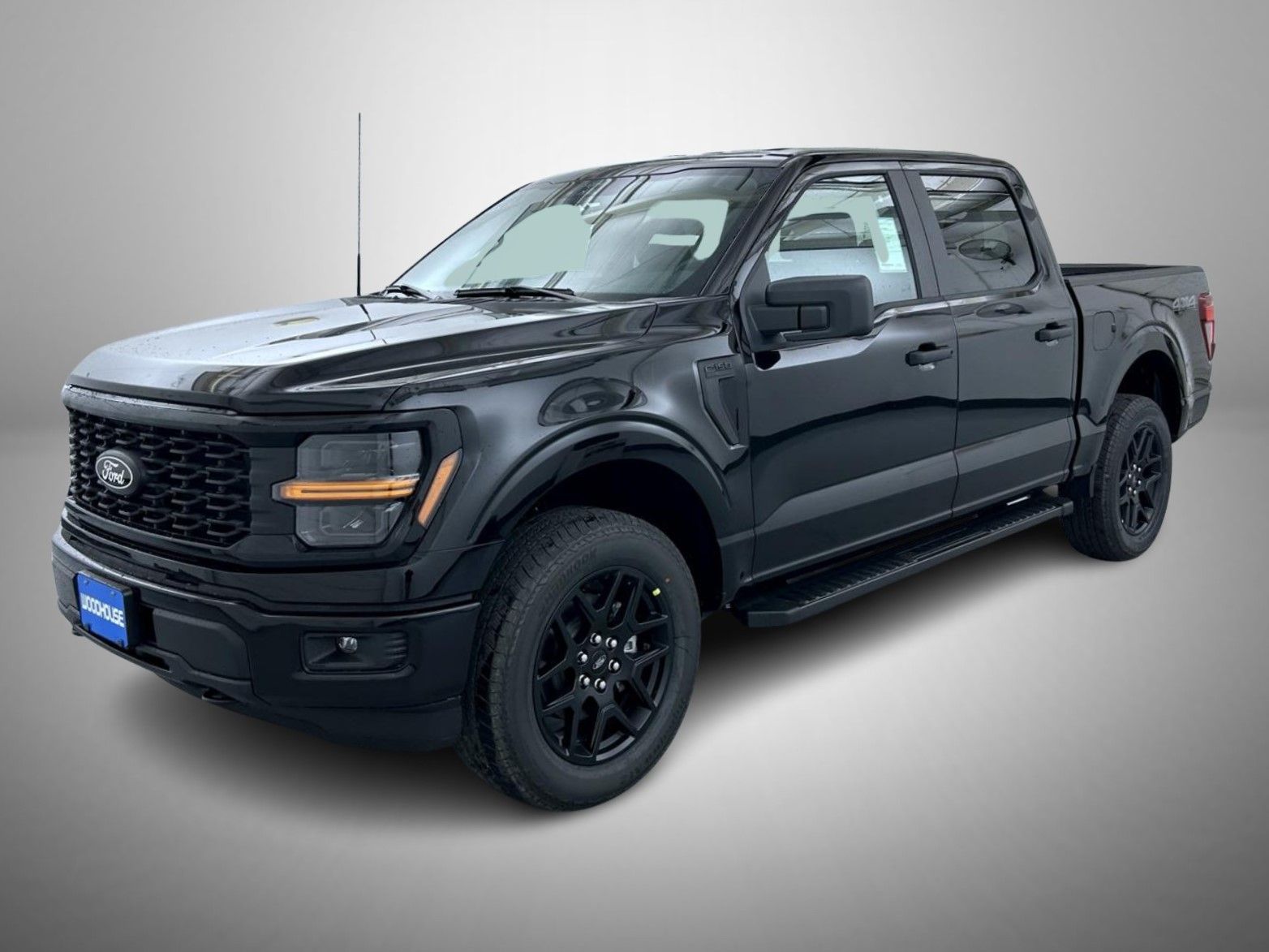 2025 Ford F-150 STX's photo