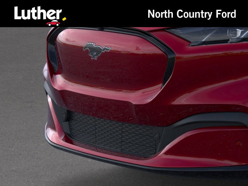 2025 Ford Mustang Mach-E Premium photo 15