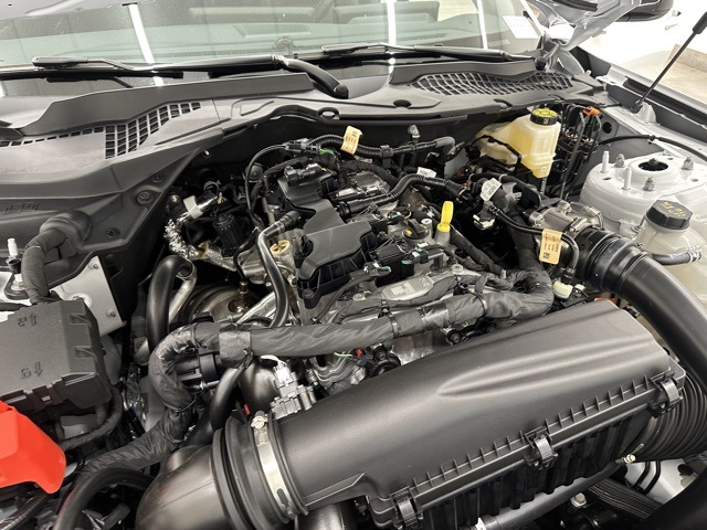 2025 Ford Mustang EcoBoost photo 26