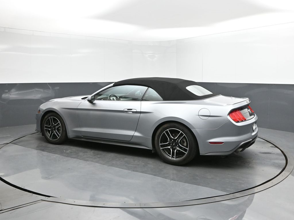 2023 Ford Mustang EcoBoost Premium photo 5