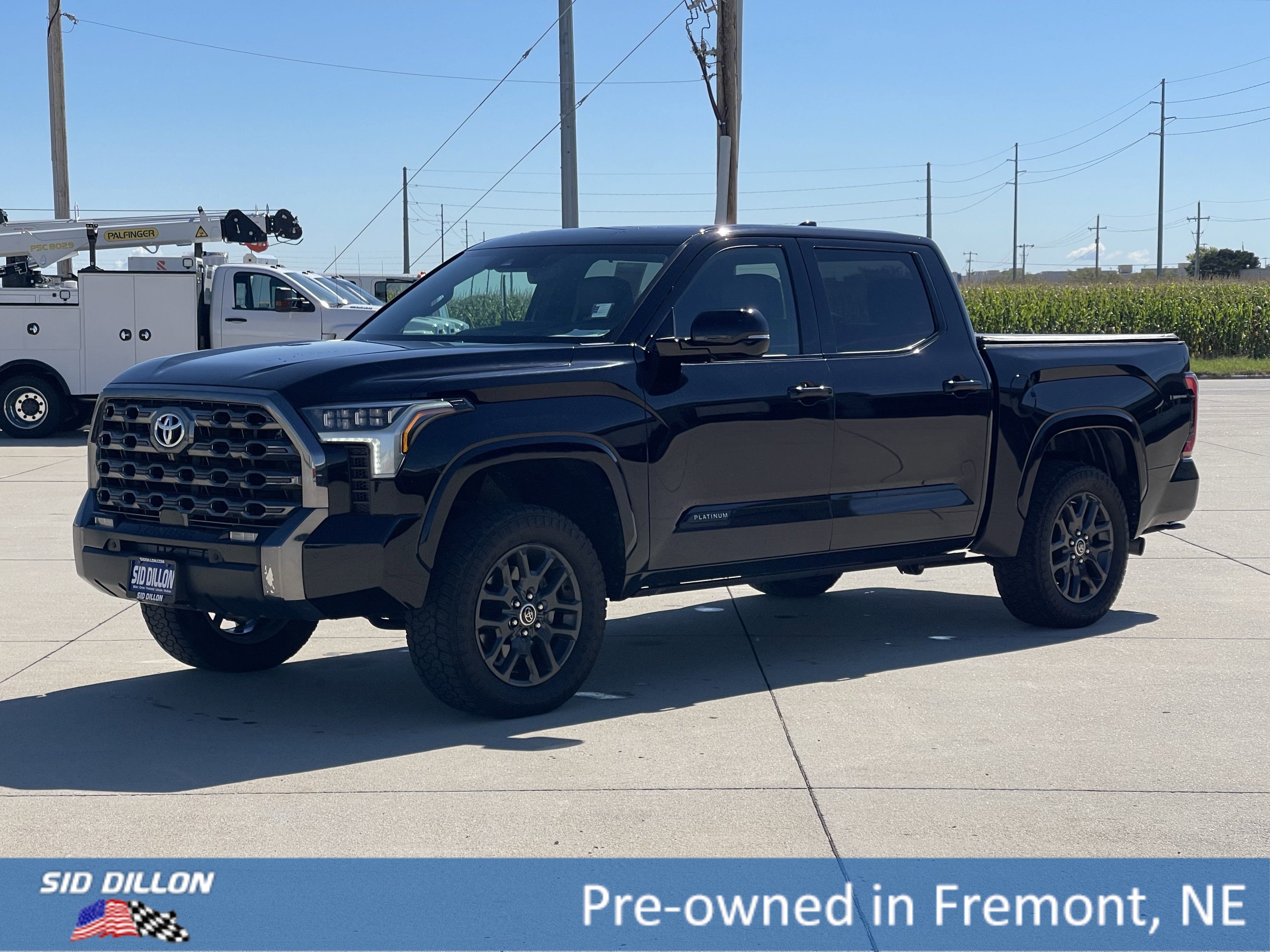 2022 Toyota Tundra Platinum's photo