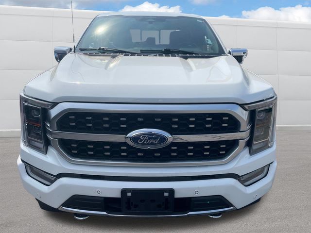 2023 Ford F-150 Platinum photo 11