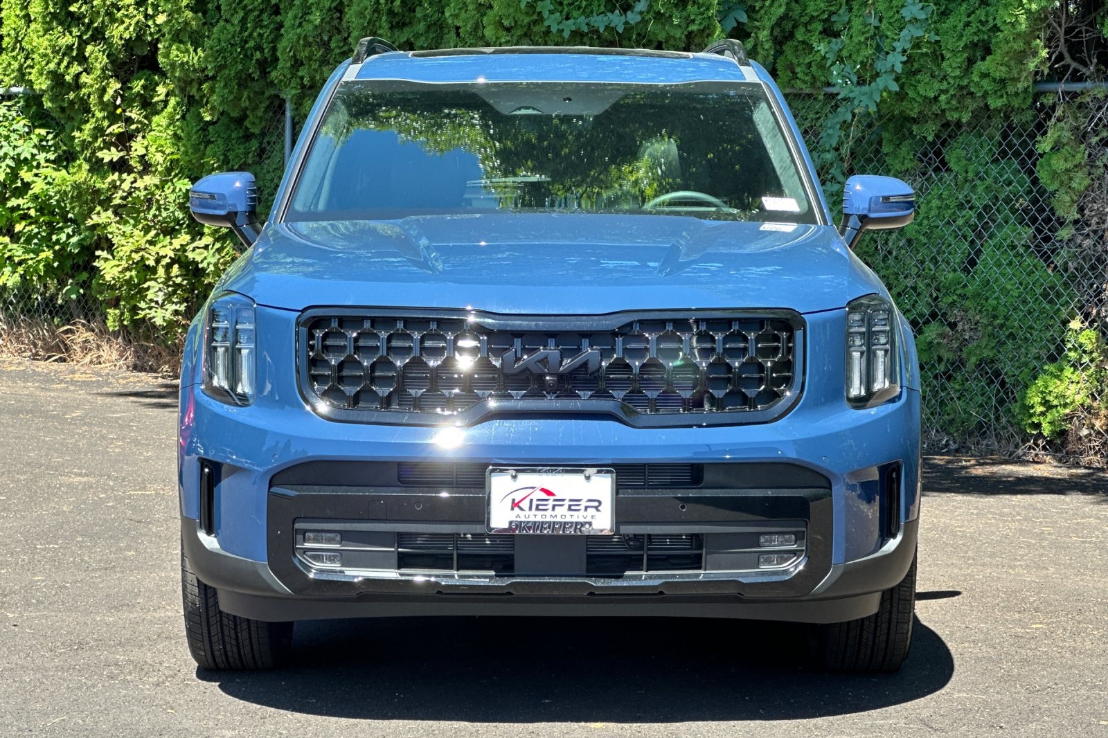 2025 Kia Telluride SX Prestige X-Line photo 4
