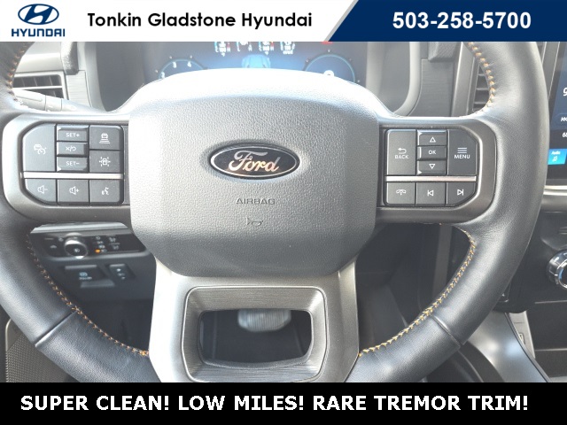 2024 Ford F-150 Tremor photo 11