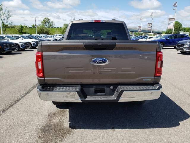 2023 Ford F-150 XLT photo 6