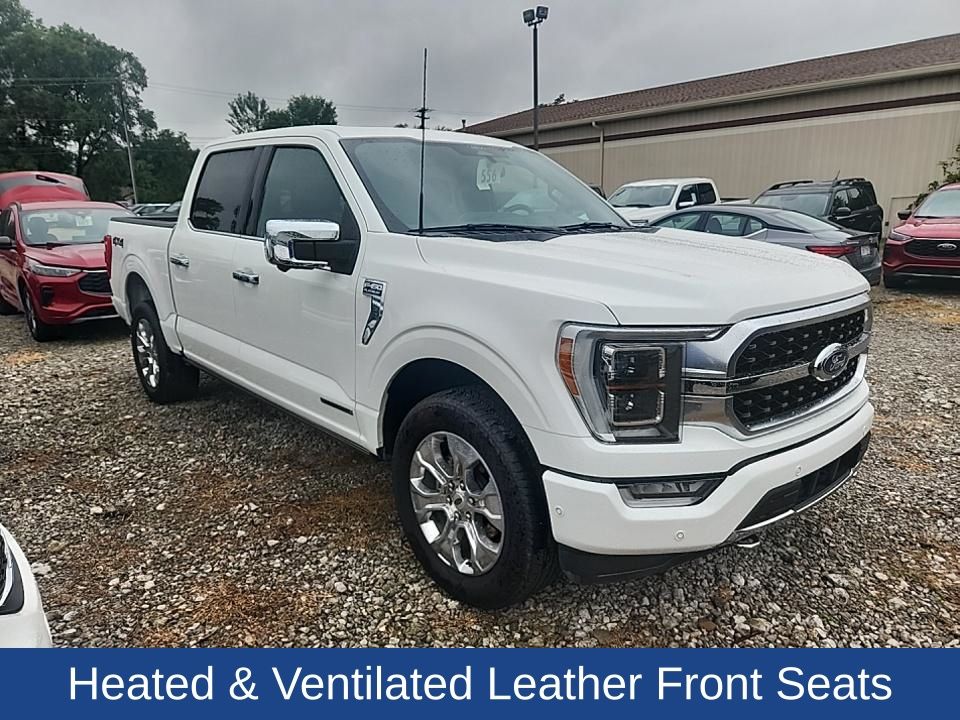 2022 Ford F-150 Platinum photo 2