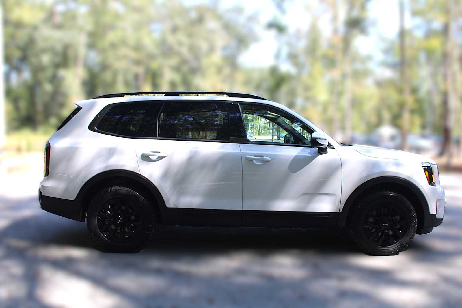 2025 Kia Telluride SX X-Line photo 13