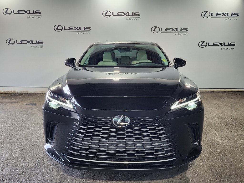 2025 Lexus RX 350 photo 2