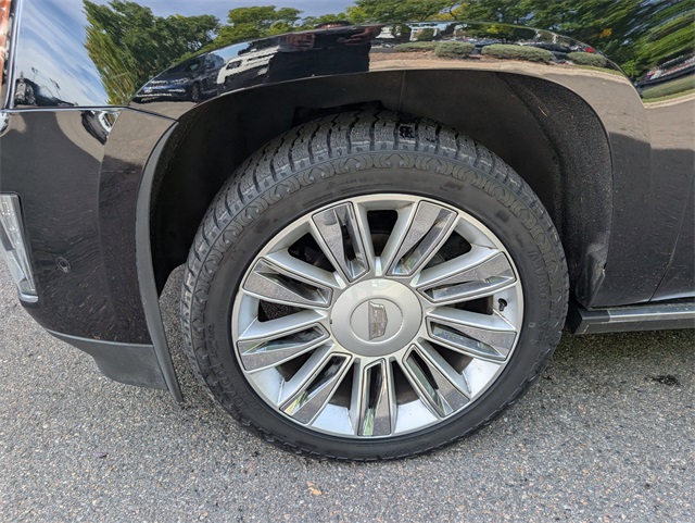 2019 Cadillac Escalade Platinum photo 2
