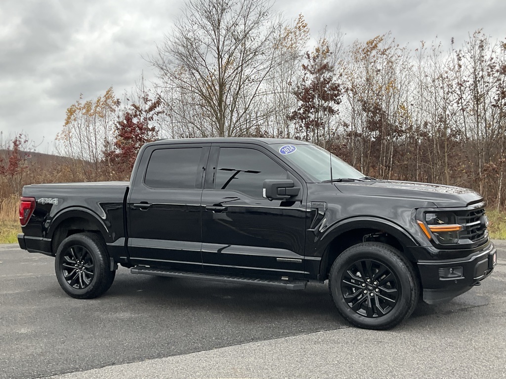 2024 Ford F-150 XLT's photo
