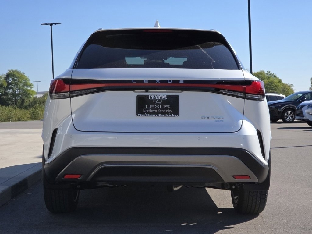 2025 Lexus RX 350 Premium photo 23