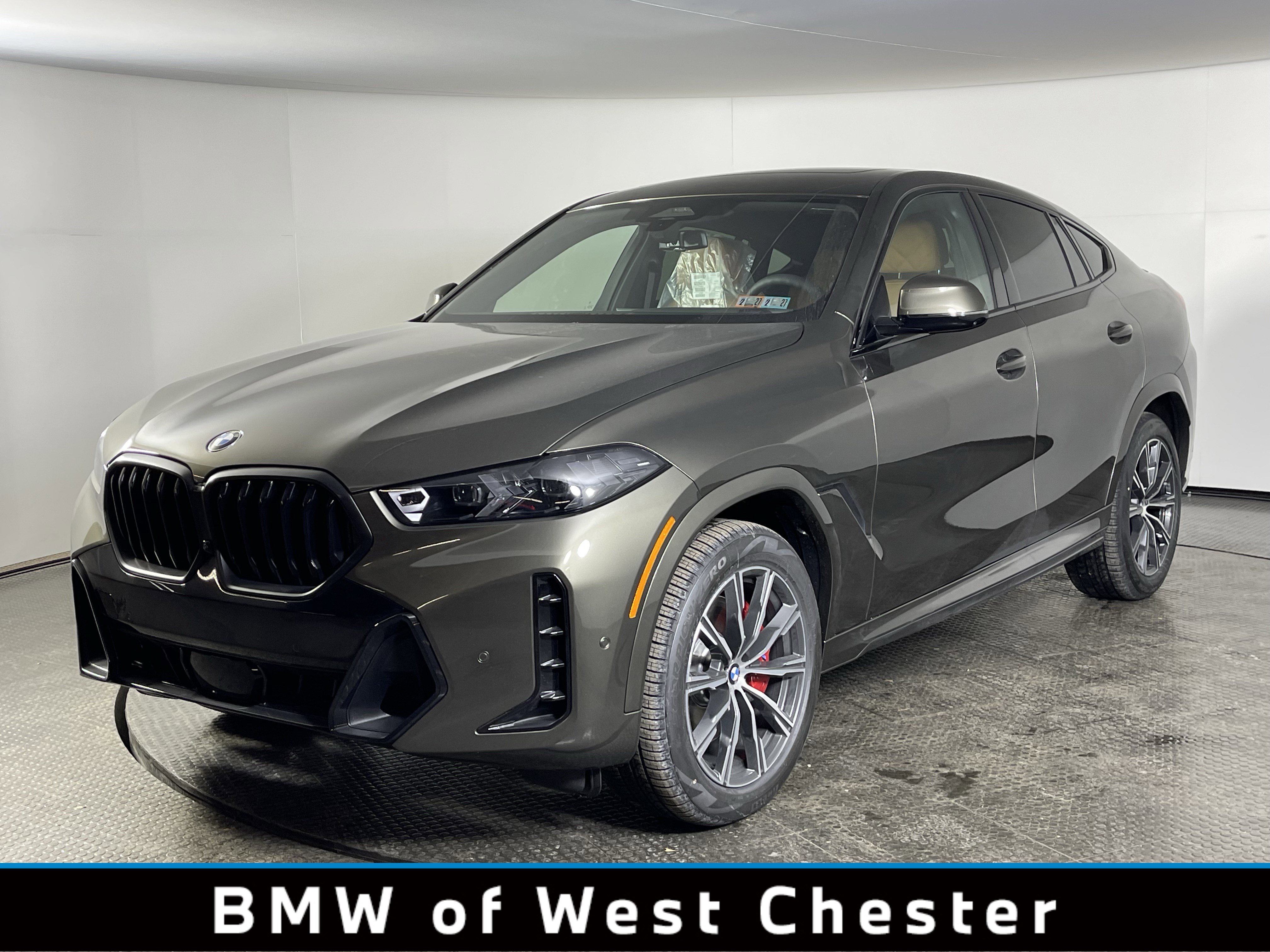 2026 BMW X6