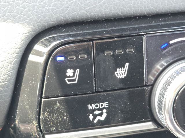 2026 Honda Passport TrailSport Elite photo 18