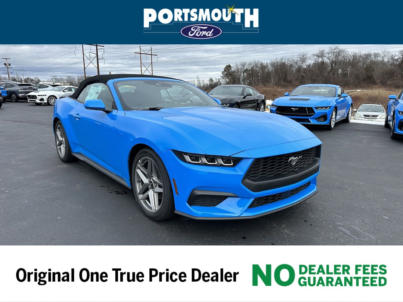 New 2024 Ford Mustang EcoBoost® Convertible Convertible in Portsmouth 