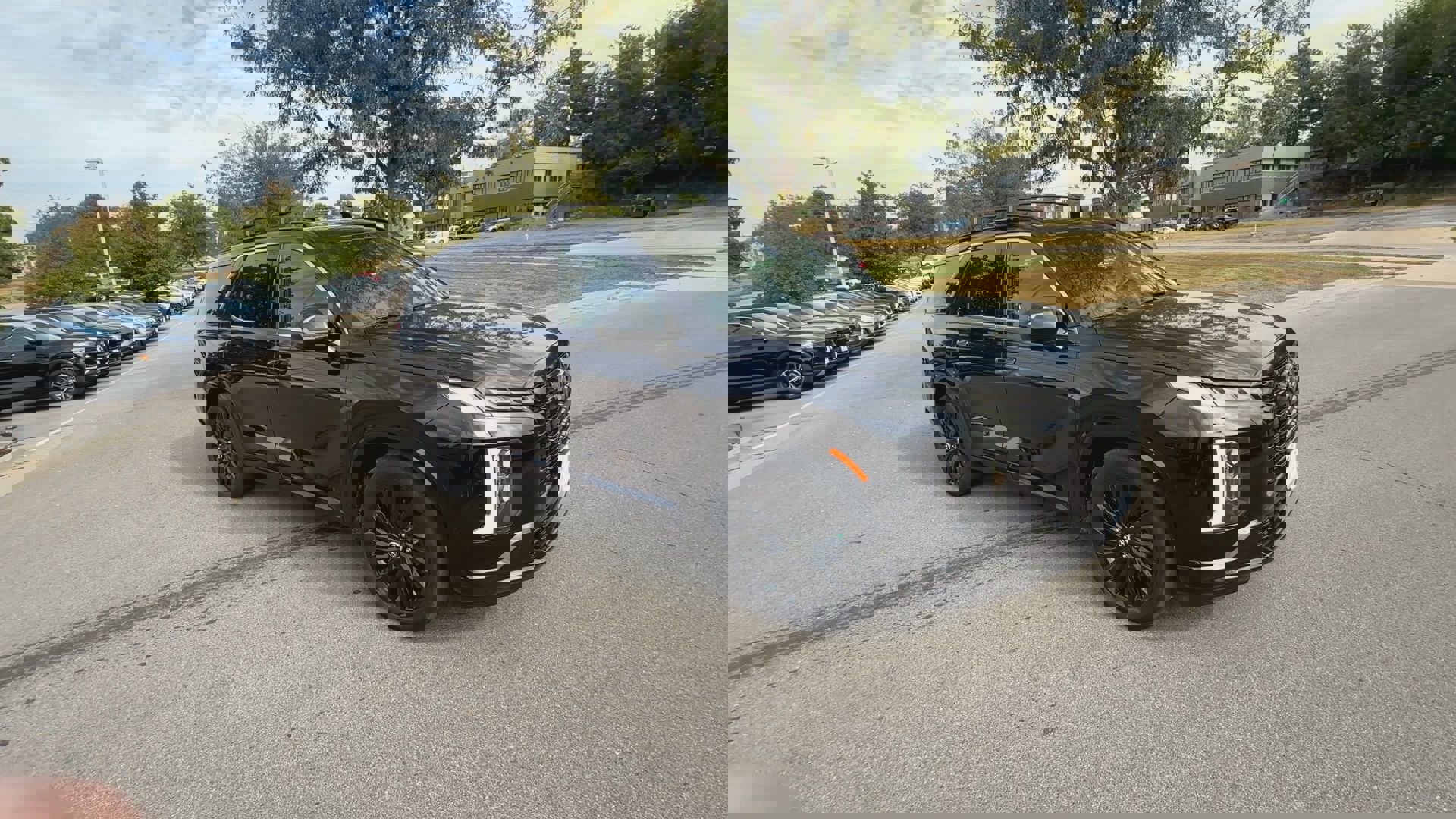 2024 Hyundai Palisade Calligraphy photo 2